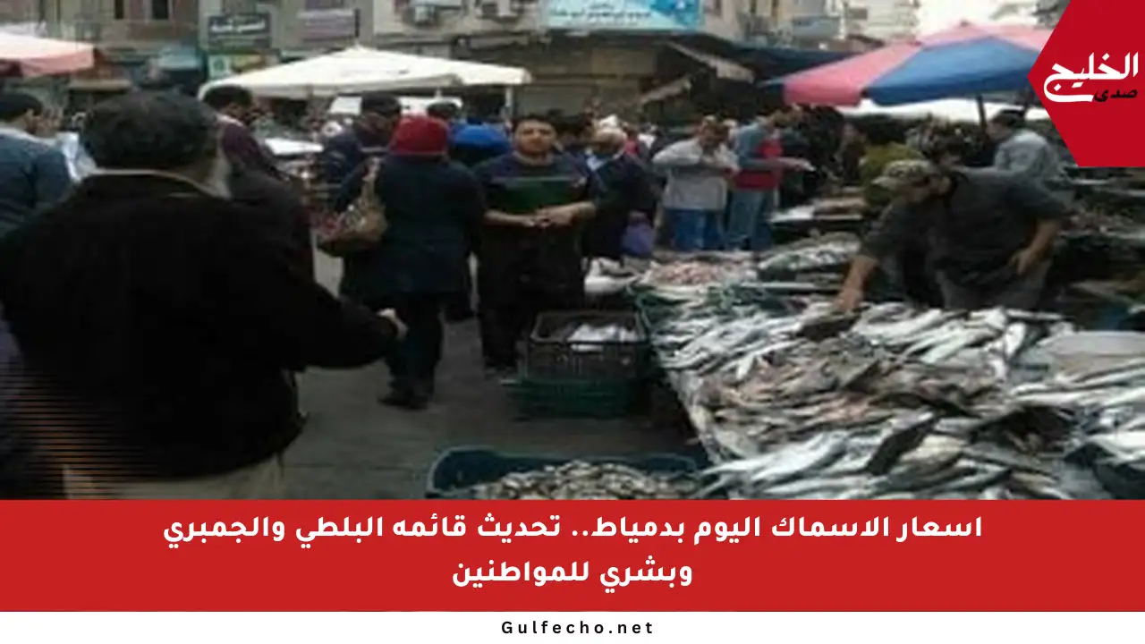 أسعار الأسماك اليوم بدمياط.. تحديث قائمة البلطي والجمبري وبشرى للمواطنين